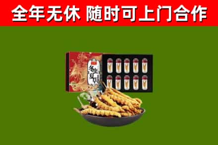 磁县烟酒回收冬虫夏草礼盒.jpg